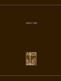 Скачать каталог ARIZZI_2014_general.pdf Arizzi