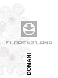 Скачать каталог FLORENZ_LAMP_2012_domani.pdf Florenz lamp