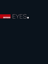 Скачать каталог Senses_EYES.pdf Senses
