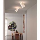 Studio Italia Design Beetle Wall&Ceiling AP3-PL3 универсальный светильник